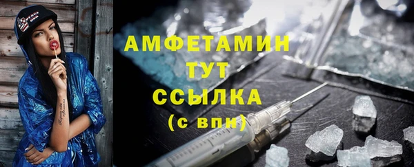 стаф Тайга