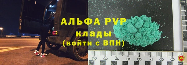 крисы Вязьма