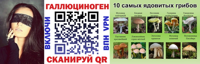 Галлюциногенные грибы Psilocybe  нарко площадка Telegram  Верхний Уфалей  omg рабочий сайт 